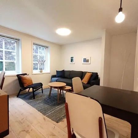 Sentral Leilighet I Apartament *